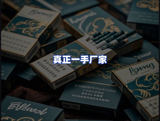 专业团队